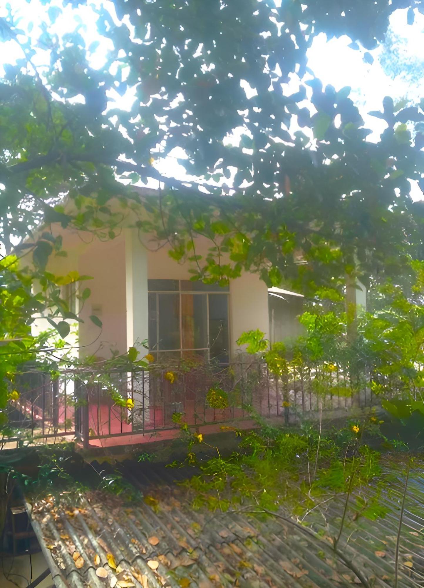 Senehas Homestay Ella Exteriör bild